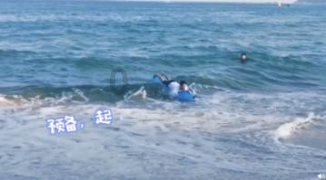 救援怒吼的狮子